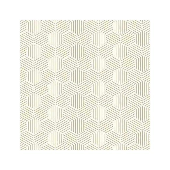 Papel de Parede Adesivo Abstrato N242