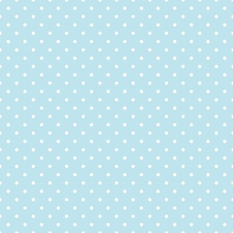 Papel de Parede Adesivo Poá Azul e Branco N04028