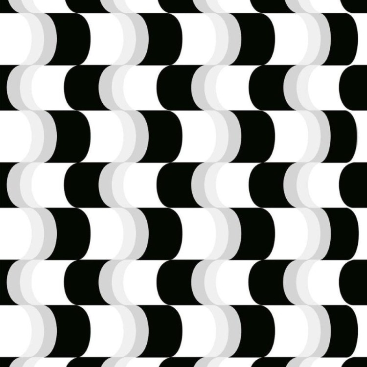 Papel de Parede Adesivo Preto e Branco Curvas...