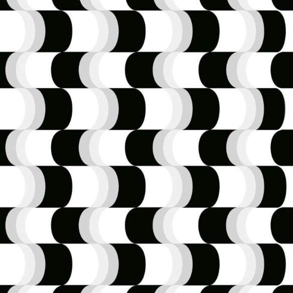 Papel de Parede Adesivo Preto e Branco Curvas N011003