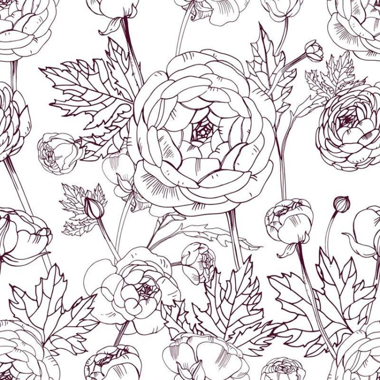 Papel de Parede Adesivo Rosas Desenho em Linha...