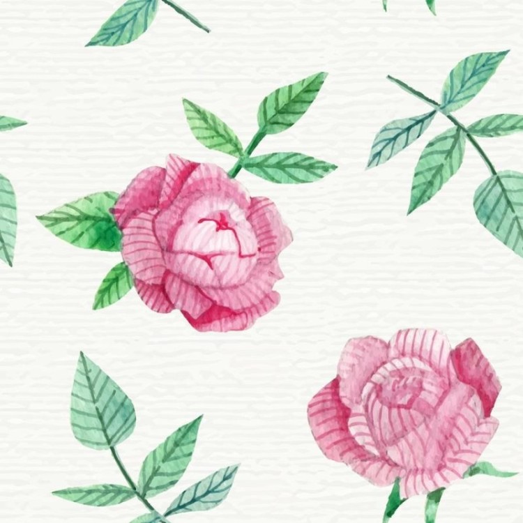 Papel de Parede Adesivo Rosas em Fundo Branco...
