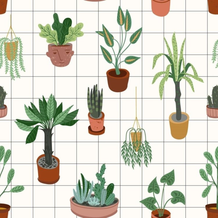 Papel de Parede Adesivo Vasos com plantas e...