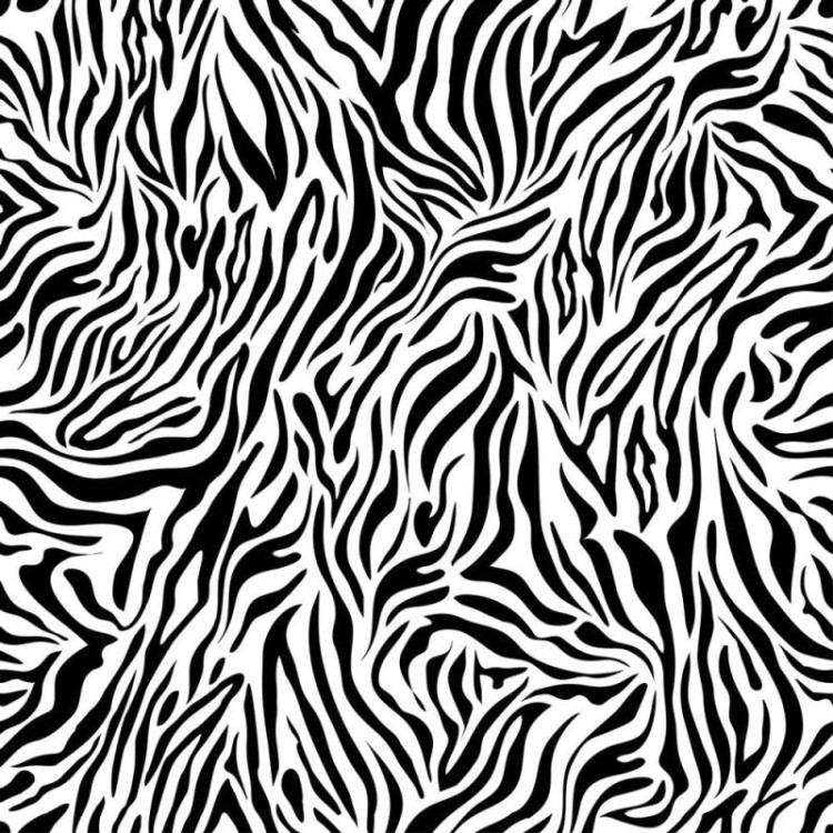 Papel de Parede Adesivo zebra 141864568