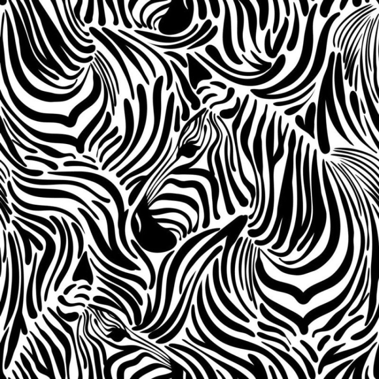 Papel de Parede Adesivo zebra 303308312