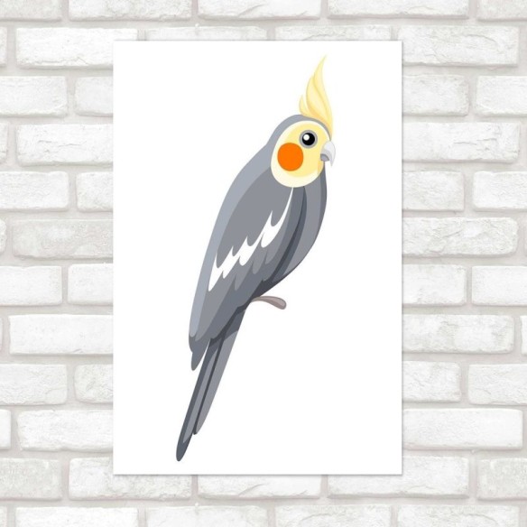 Poster Decorativo Aves Calopsita N010224