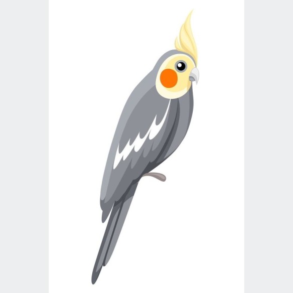 Poster Decorativo Aves Calopsita N010224
