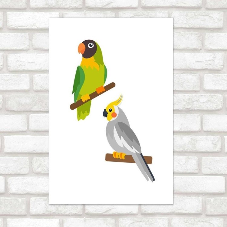 Poster Decorativo Aves Papagaio e Calopsita N010225