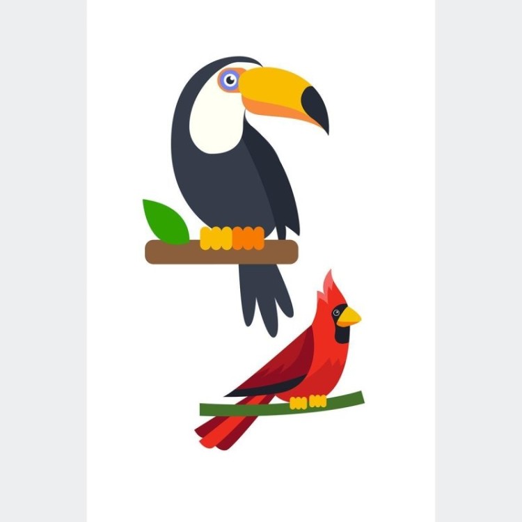 Poster Decorativo Aves Tucano e Pica-Pau N010226