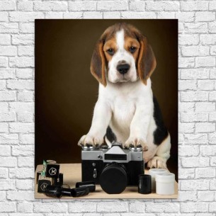 Poster Decorativo Cachorro...