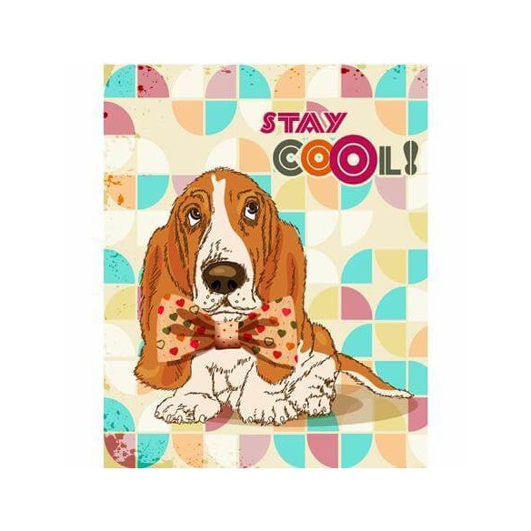 Poster Decorativo Cachorro Beagle  47122169