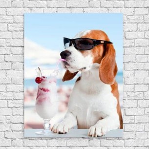 Poster Decorativo Cachorro...