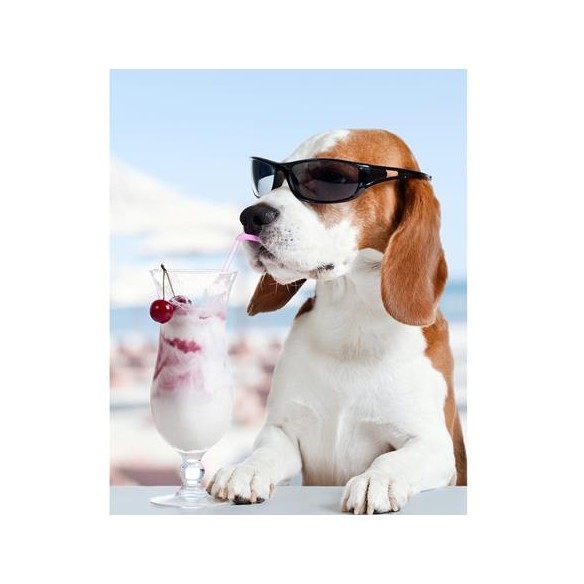 Poster Decorativo Cachorro Sorvete 202701793