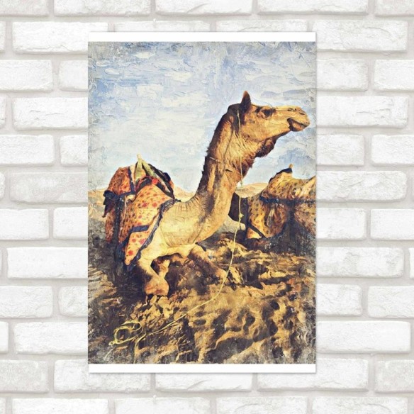 Poster Decorativo Camelo Realista N09275