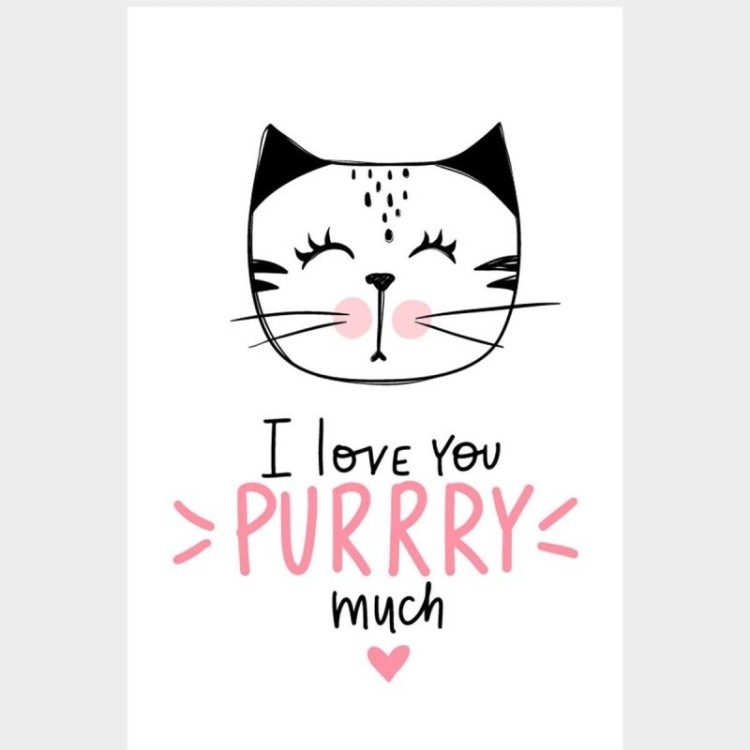 Poster Decorativo Cat I Love You - Eu Amo Você...