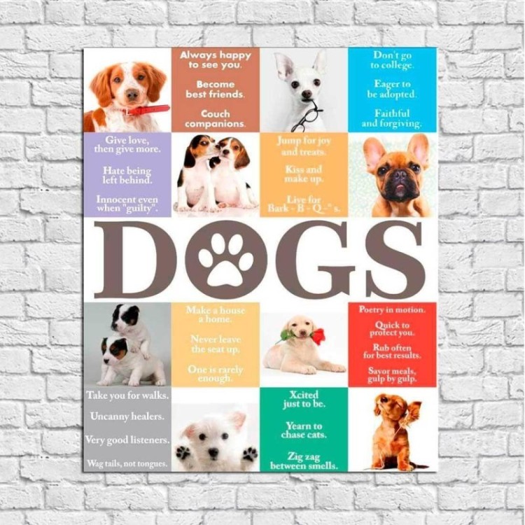 Poster Decorativo Dogs 2310