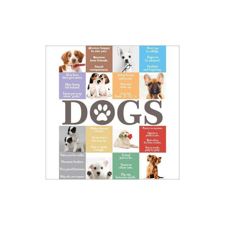Poster Decorativo Dogs 2310