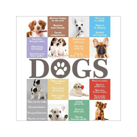 Poster Decorativo Dogs 2310