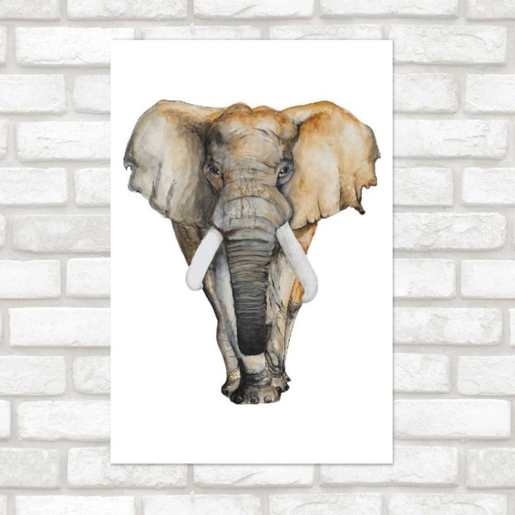 Poster Decorativo Elefante Africano Aquarela N07243