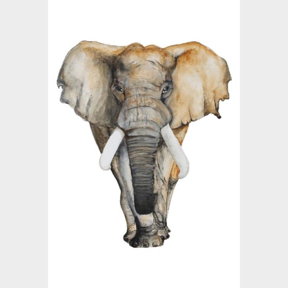 Poster Decorativo Elefante Africano Aquarela N07243