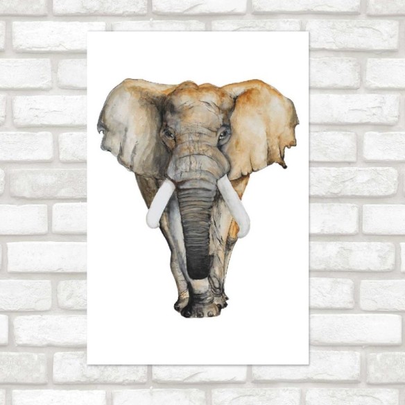 Poster Decorativo Elefante Africano Aquarela N07243