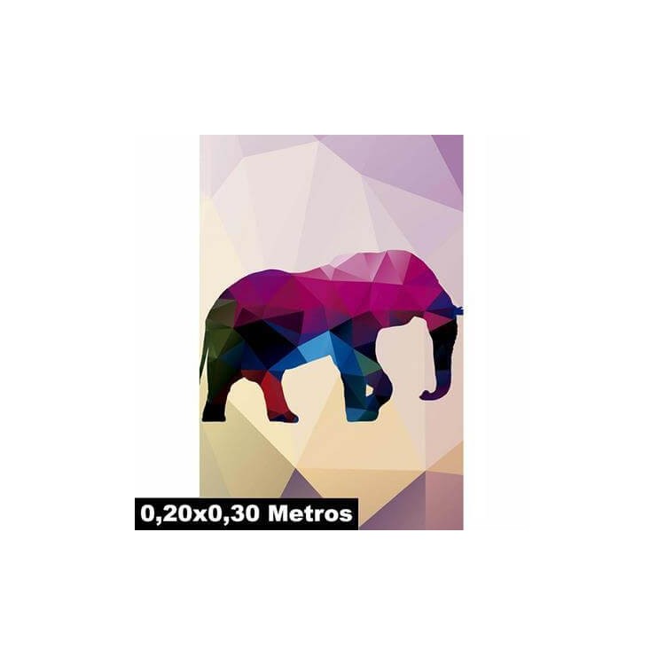 Poster Decorativo Elefante Safári 21081