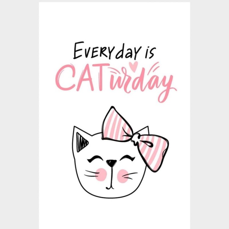 Poster Decorativo Everyday Cat - Gato Todo Dia...