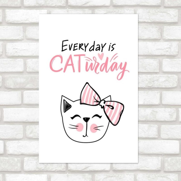 Poster Decorativo Everyday Cat - Gato Todo Dia...