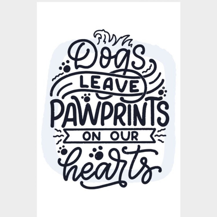 Poster Decorativo Frase Inspiracional Cachorro...
