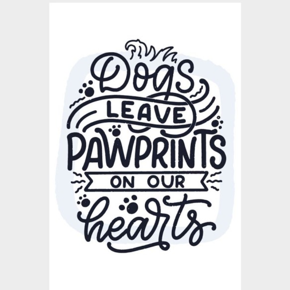 Poster Decorativo Frase Inspiracional Cachorro N07252