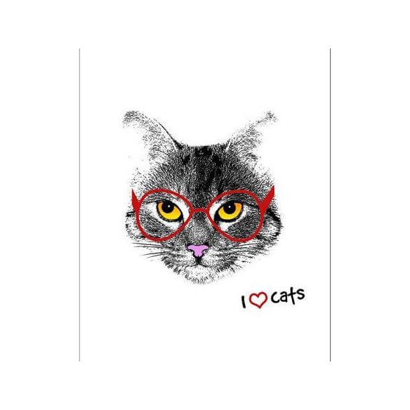 Poster Decorativo Gato de óculos 070711