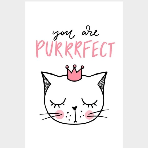 Poster Decorativo Gato You are Perfect N07289