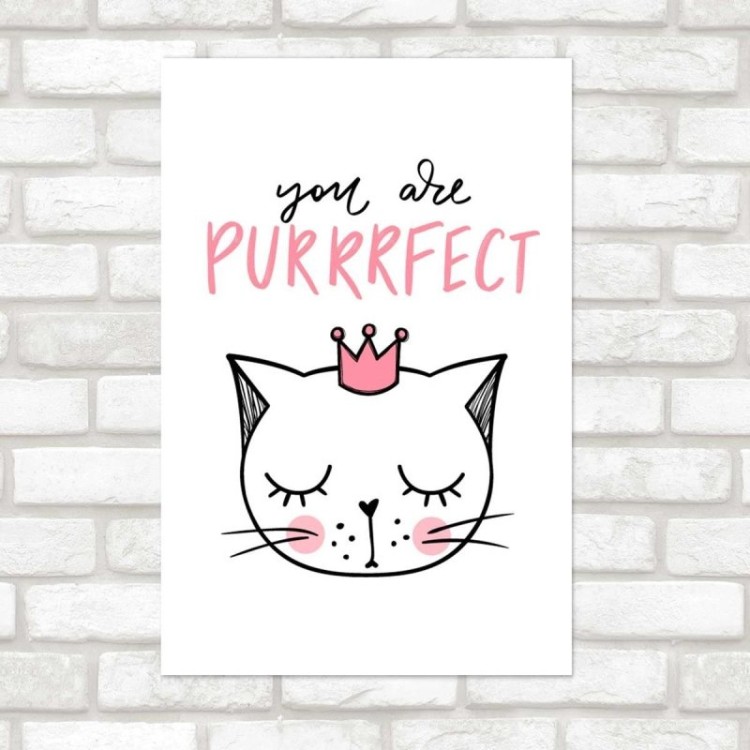 Poster Decorativo Gato You are Perfect N07289