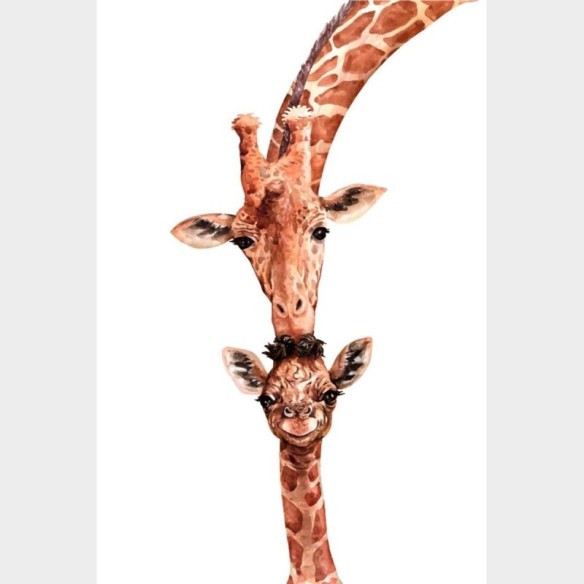 Poster Decorativo Girafas Realistas N07242