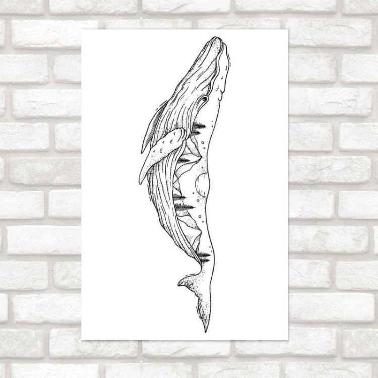 Poster Decorativo Jovem Baleia N015230