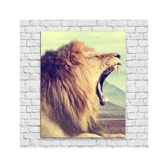 Poster Decorativo Leão Safári 367384340