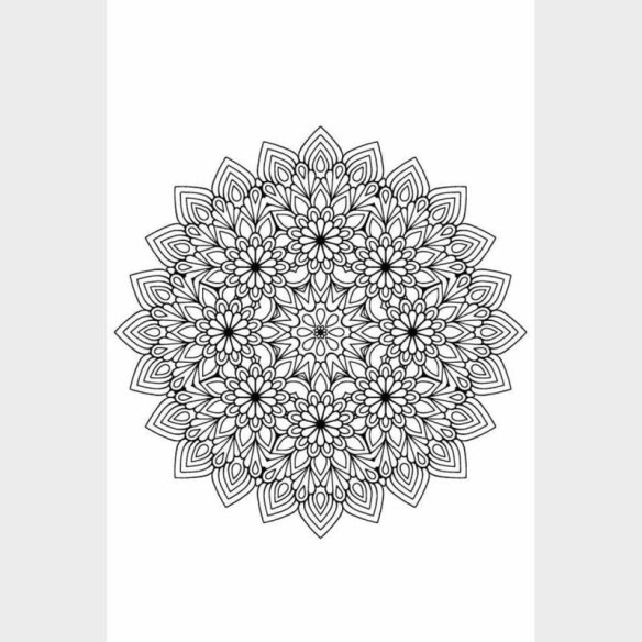 Poster Decorativo Mandala De Flores Monocromática N09281