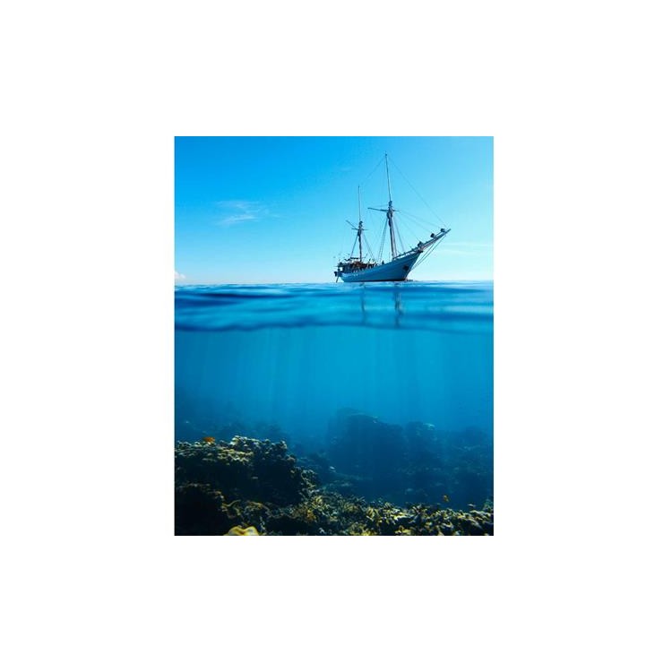 Poster Decorativo Mar Navio  99475625