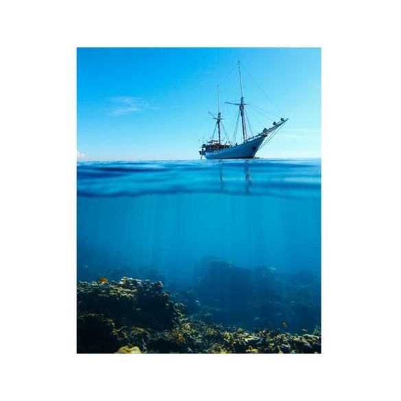 Poster Decorativo Mar Navio  99475625