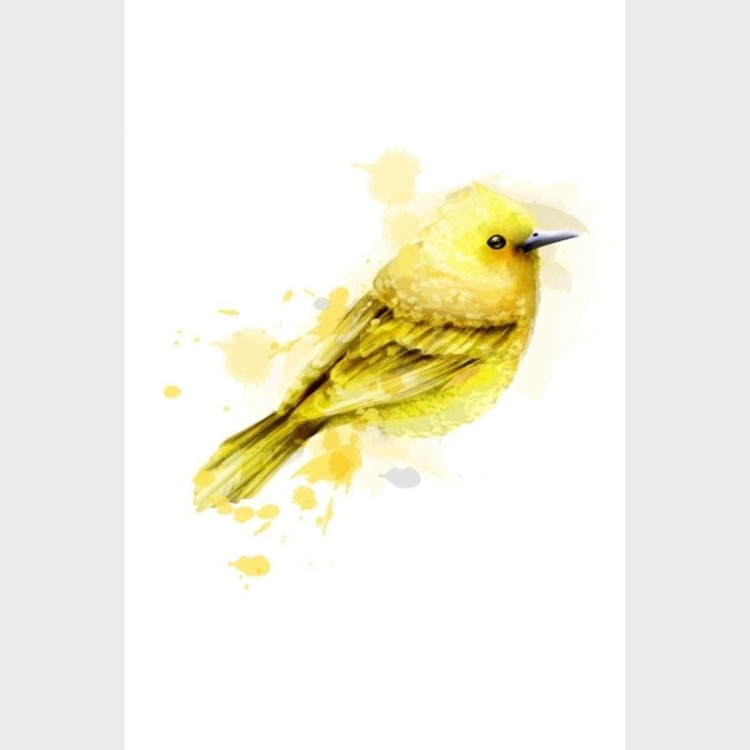 Poster Decorativo Pássaro Amarelo Aquarela N07237