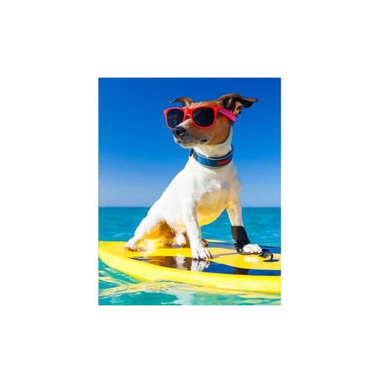 Poster Decorativo Surf Cachorro 219328042