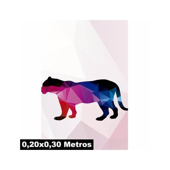 Poster Decorativo Tigre Safári 19081