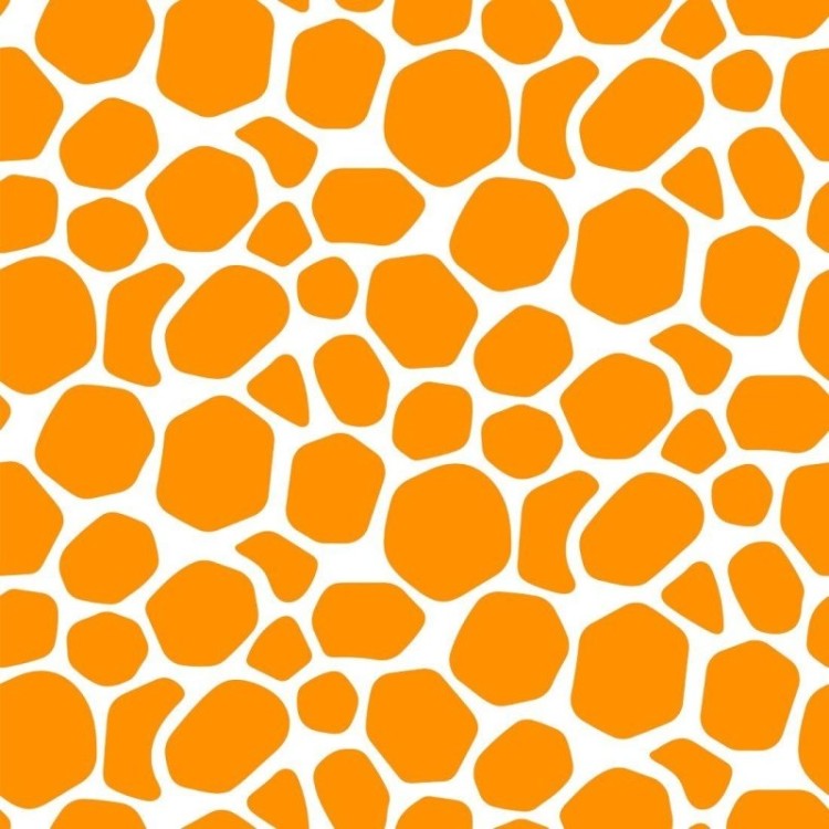 Papel de Parede Adesivo Animal Print N013149
