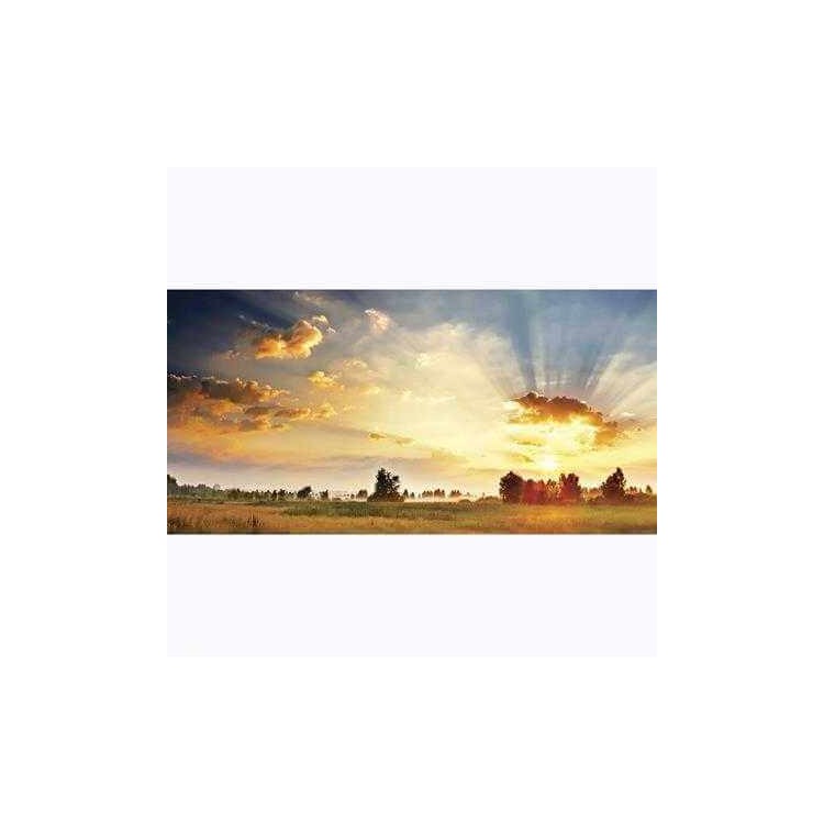 Painel Fotográfico Amanhecer no Campo