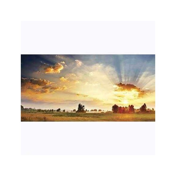 Painel Fotográfico Amanhecer no Campo