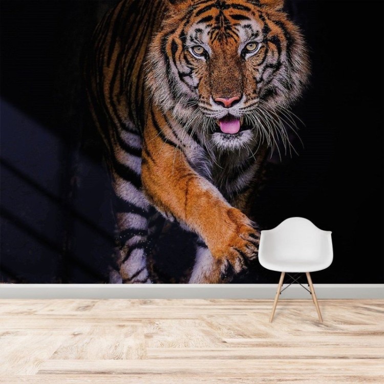 Painel fotográfico tigre – City Decor