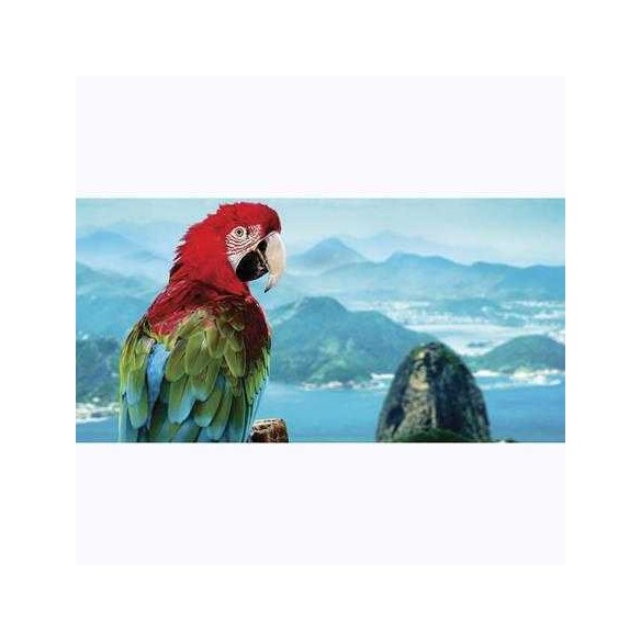 Painel Fotográfico Arara vermelha no Rio de Janeiro