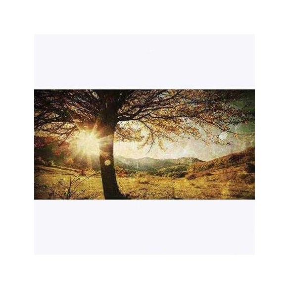 Painel Fotográfico Árvore Solitária de Outono