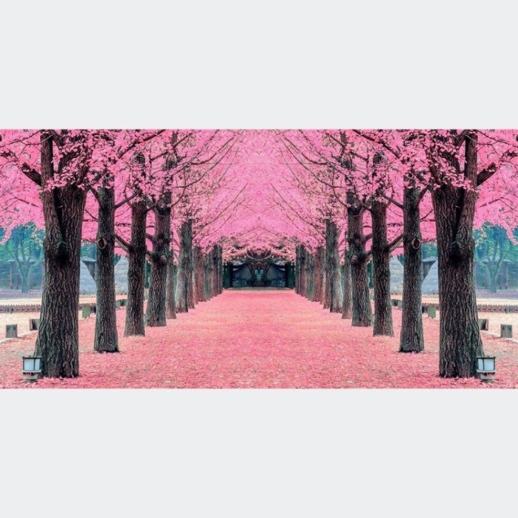 Painel Fotográfico Árvores Rosa N016133
