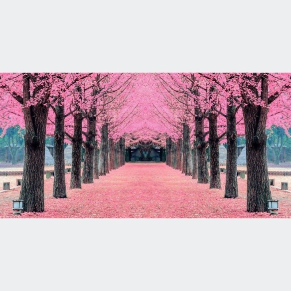 Painel Fotográfico Árvores Rosa N016133